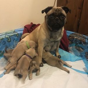 Meet your Posher, Dana